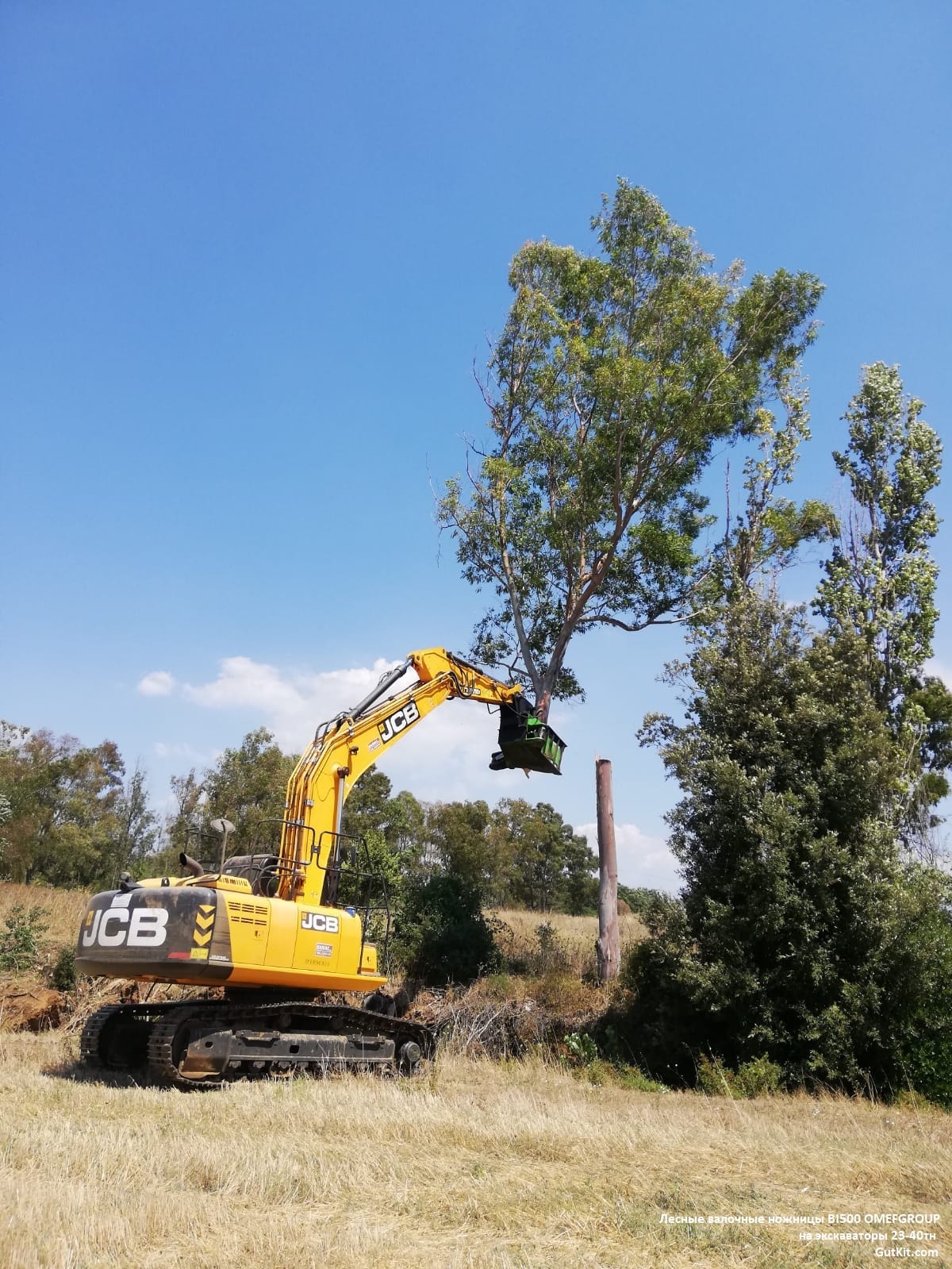 Лесные ножницы BI500 на экскаваторы 23-40тн — фото 4