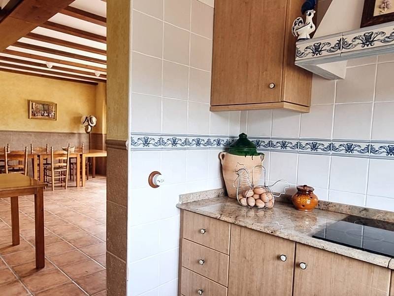 ПЛАНТАЦИЯ МАНДАРИНОВ В ИСПАНИИ — фото 12