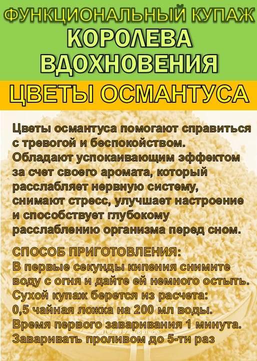 Функциональный купаж «Королева Вдохновения». Зелёный чай №95 и цветы Османтуса — фото 5