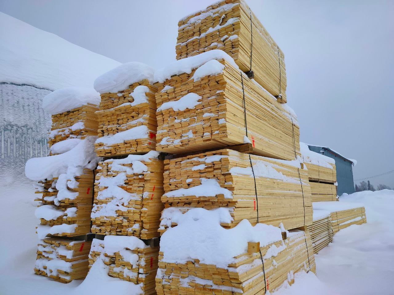 Пиломатериалы из ели производство и продажа — фото 4