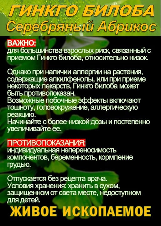 Функциональны чай. Листья Гинкго двулопастного Ginkgo Bilobae folia — фото 5