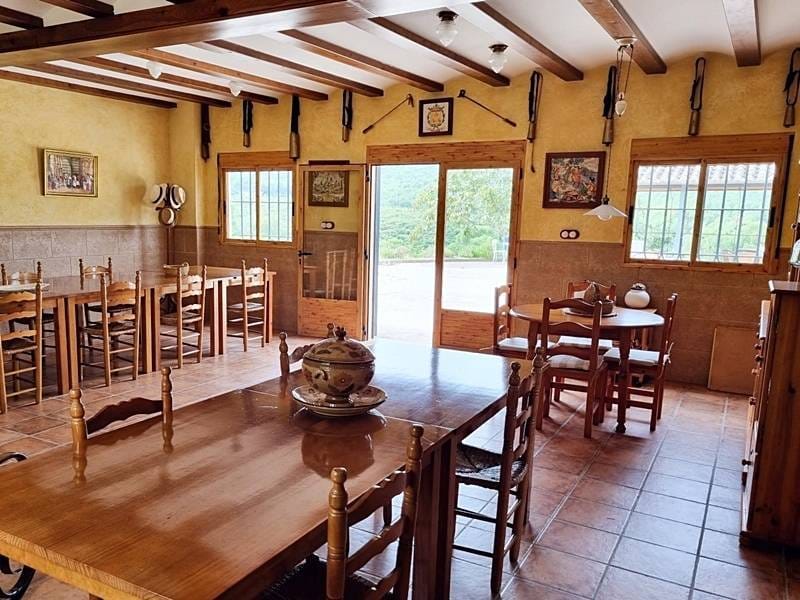 ПЛАНТАЦИЯ МАНДАРИНОВ В ИСПАНИИ — фото 8