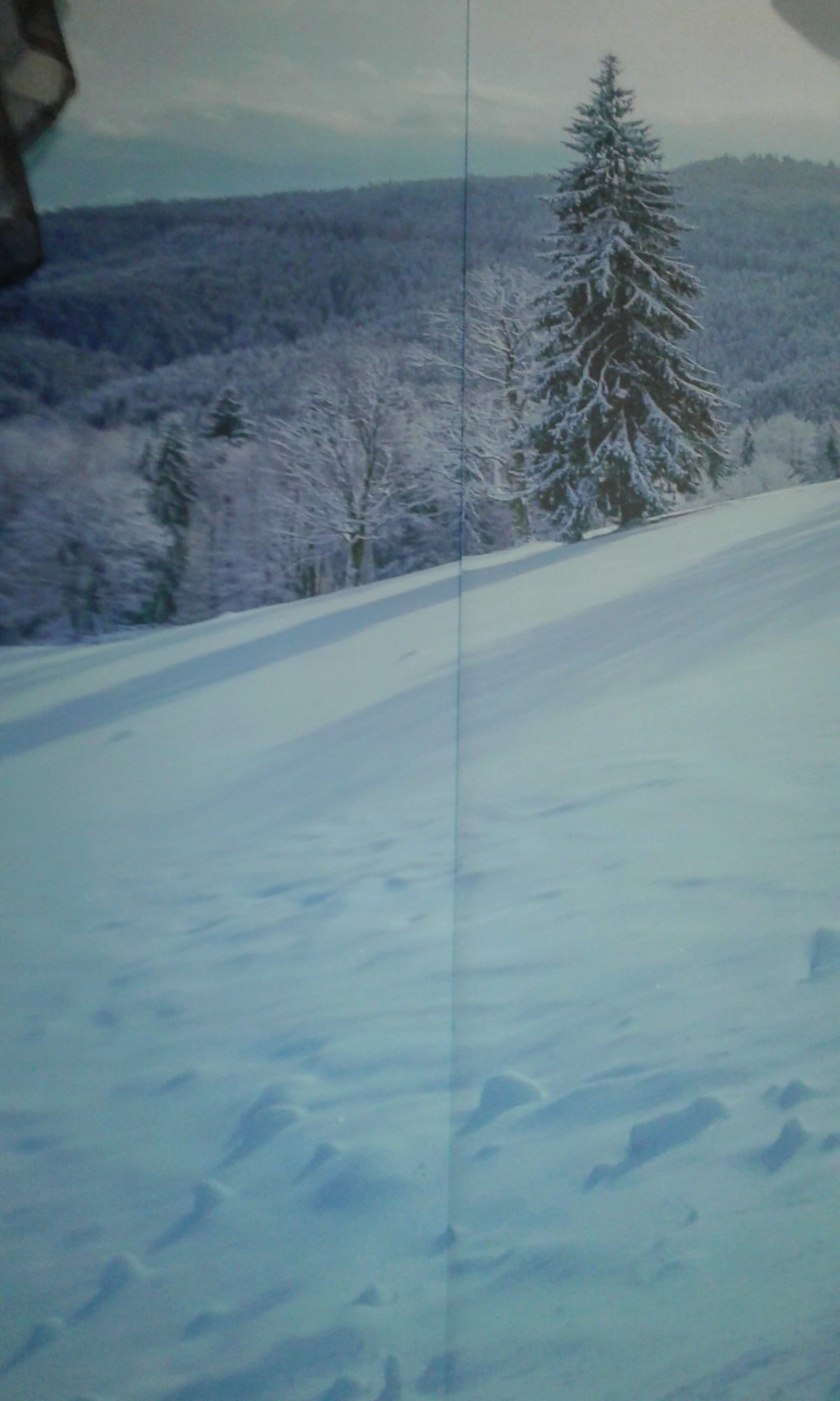 Прoдаю новые фотообои — фото 3