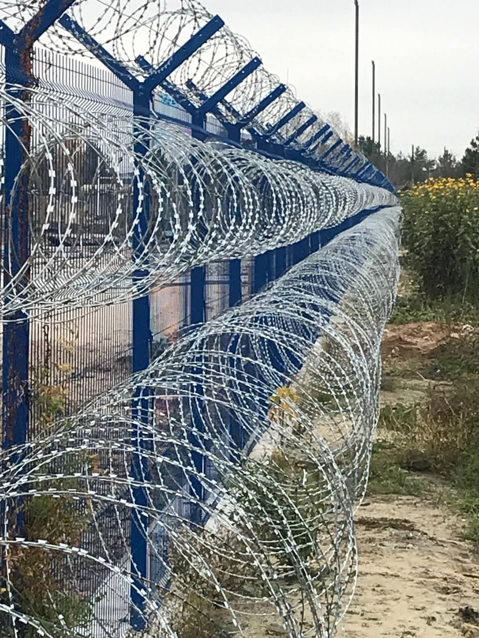 АКЛ500 62 5,  армированная колючая лента — фото 2