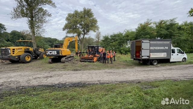 Расчистка территорий от деревьев и пней от 1 Га — фото 9