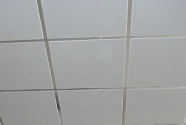 Кассетный потолок Line AP300*600 Board белый матовый А902 rus Эконом перф