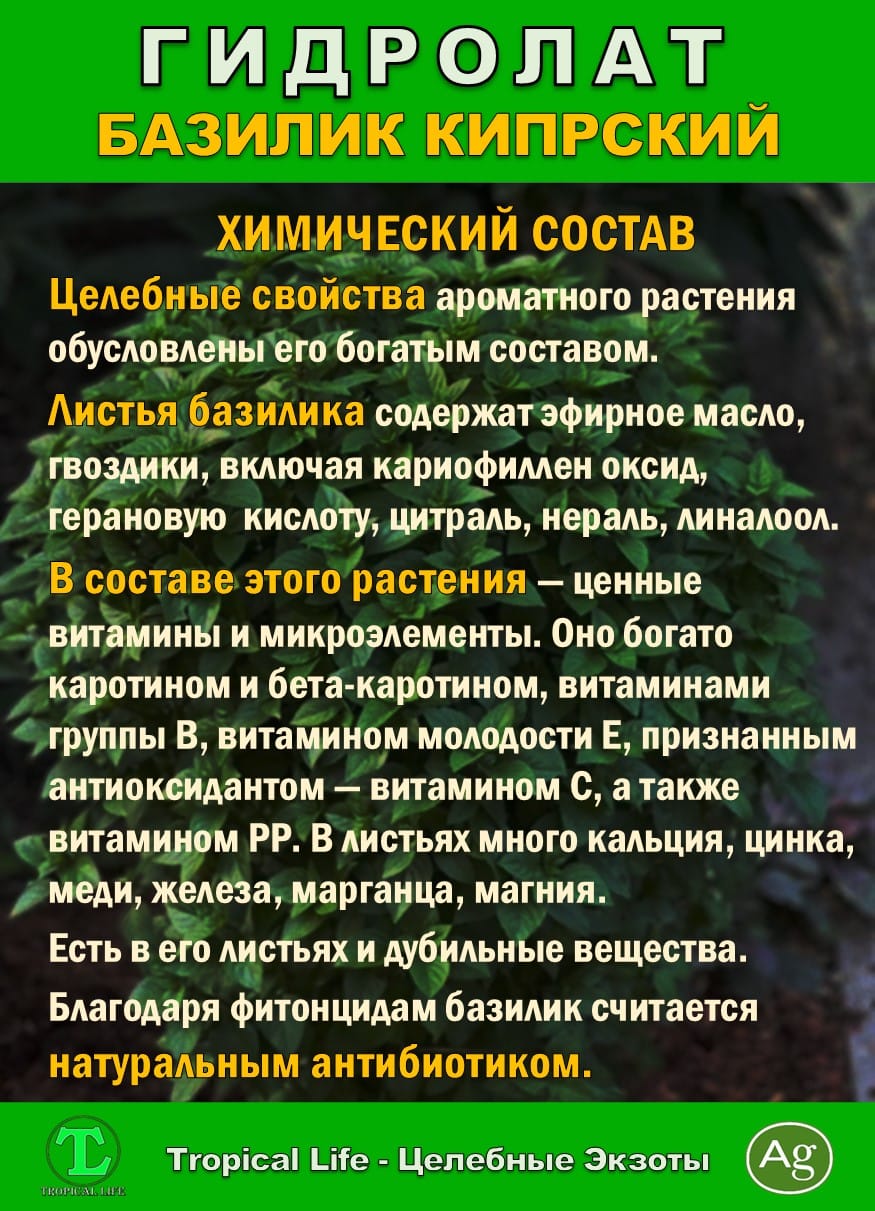 Гидролат Кипрского Базилика. ProGynuru. С наносеребром. — фото 4