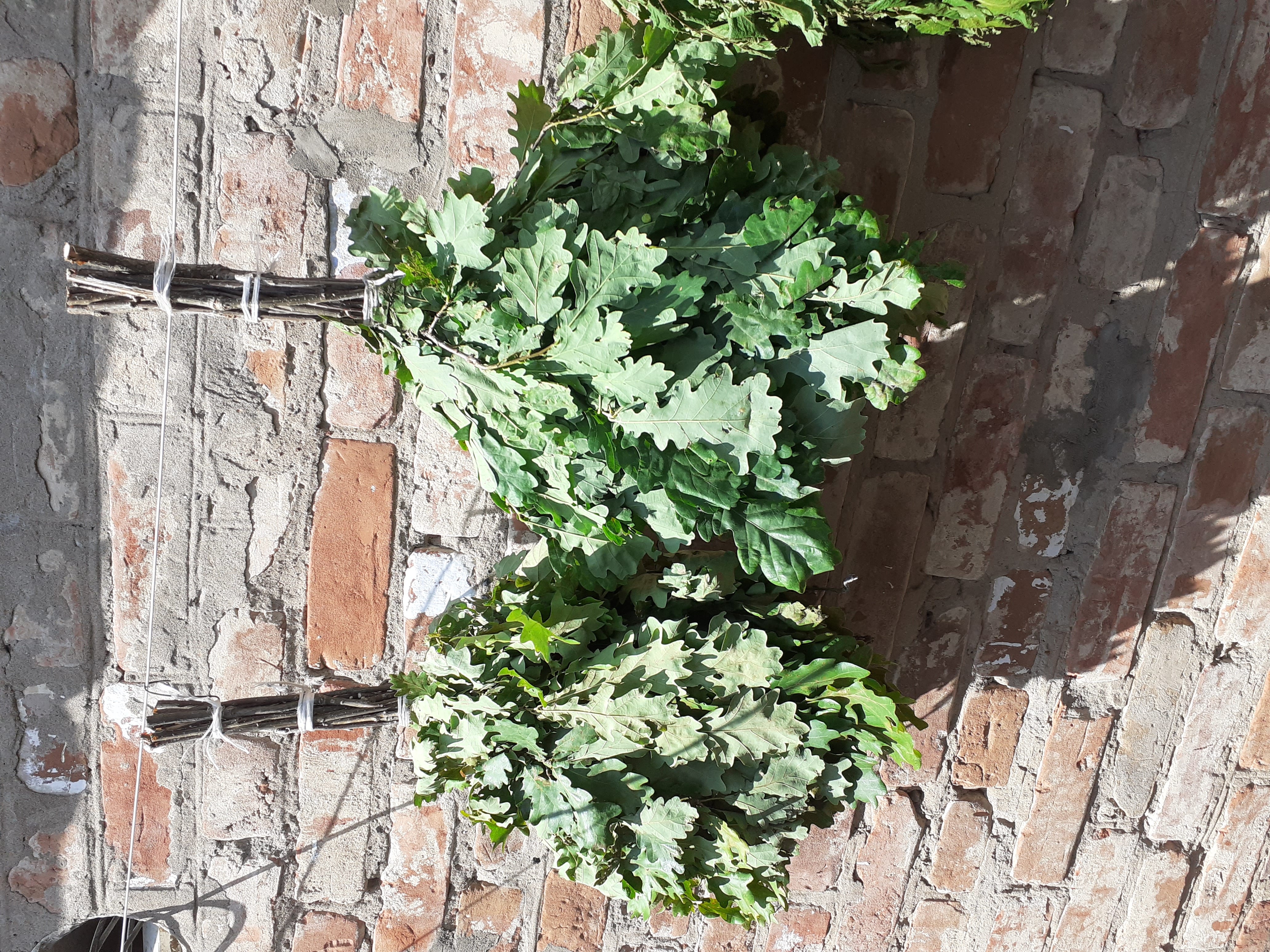 Веники для бани. — фото 3