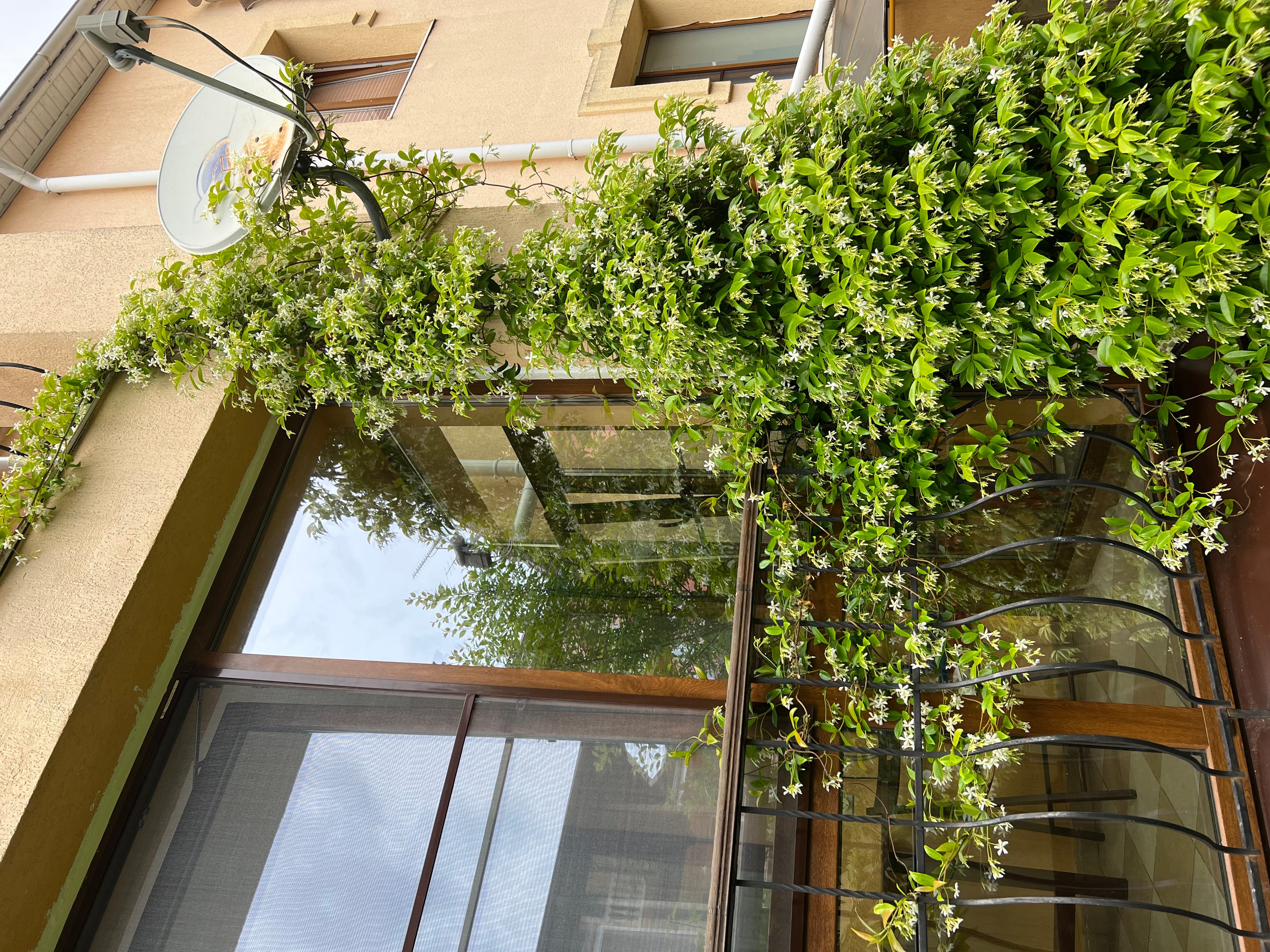 Сдам в аренду трехкомнатные апартаменты в Сочи в коттедже — фото 12