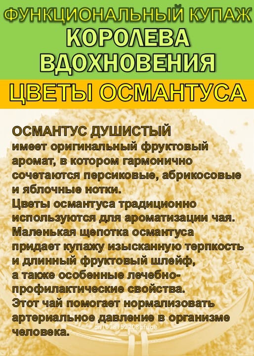 Функциональный купаж «Королева Вдохновения». Зелёный чай №95 и цветы Османтуса — фото 4