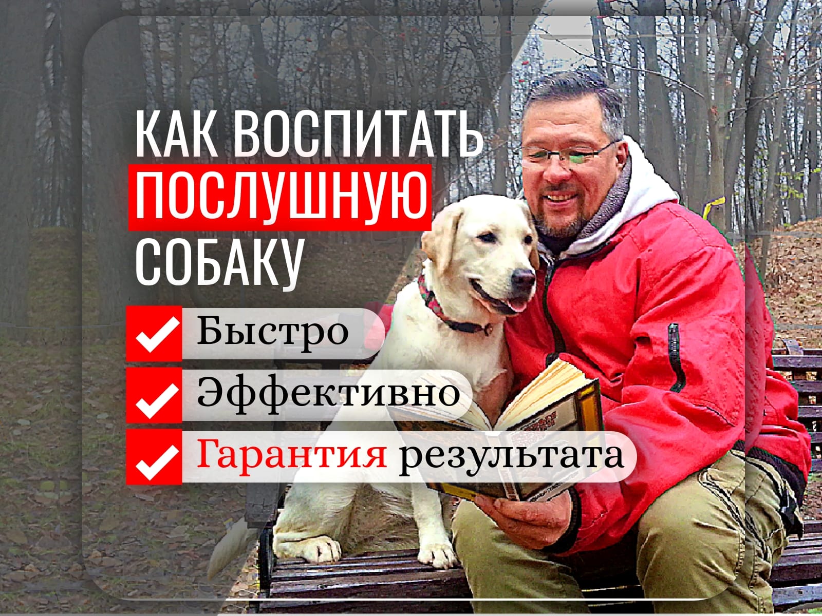 Дрессировка и воспитание собак Казань