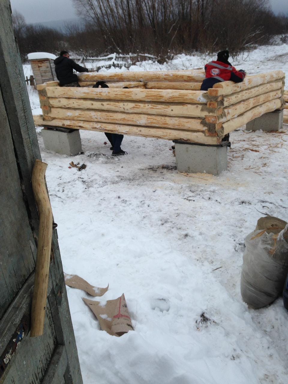 Срубы домов и бань из сосны на заказ — фото 7