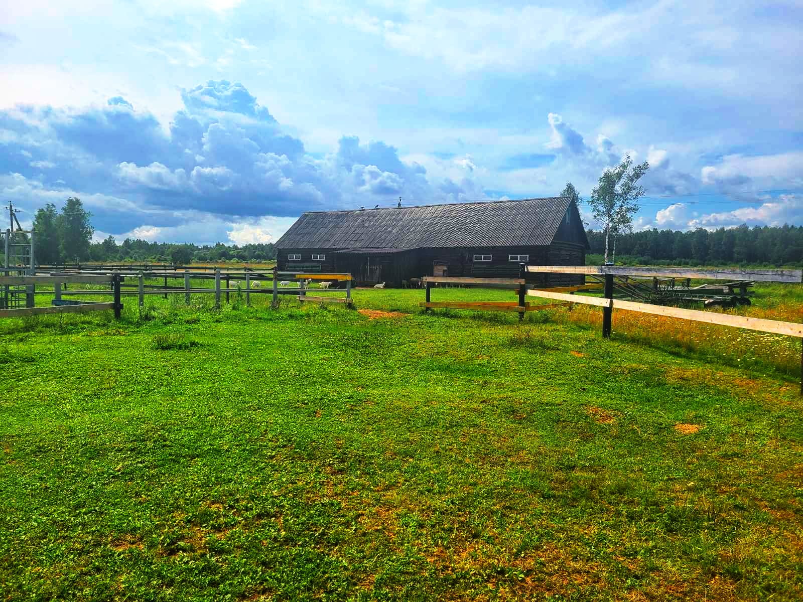 Продаётся фермерское хозяйство в Полоцком районе. — фото 2