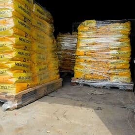 Семена озимого рапса Mersedes(Rapool)