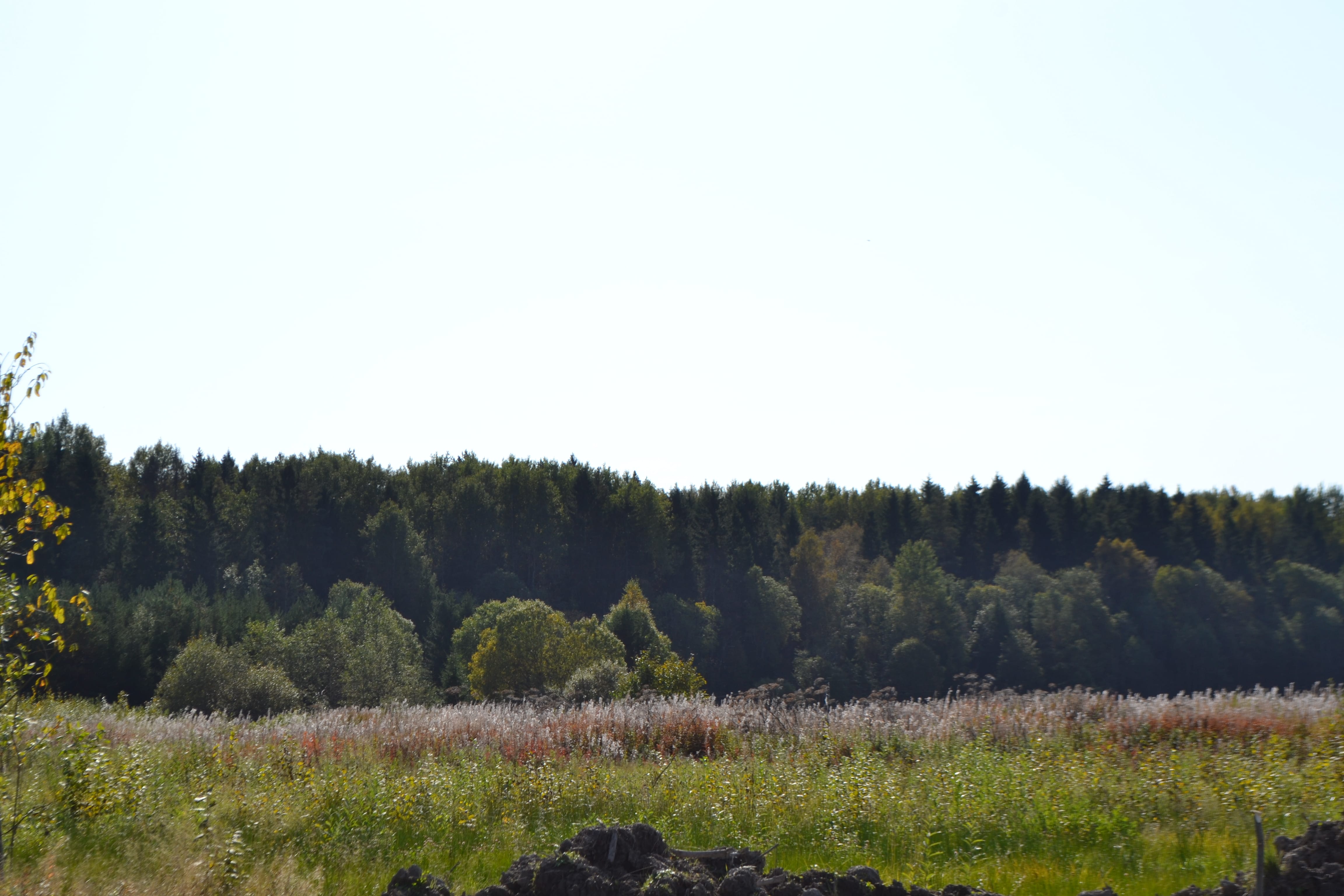 Участки на берегу реки Тигода в ДП "Рамецкое" 70 км от КАД — фото 2