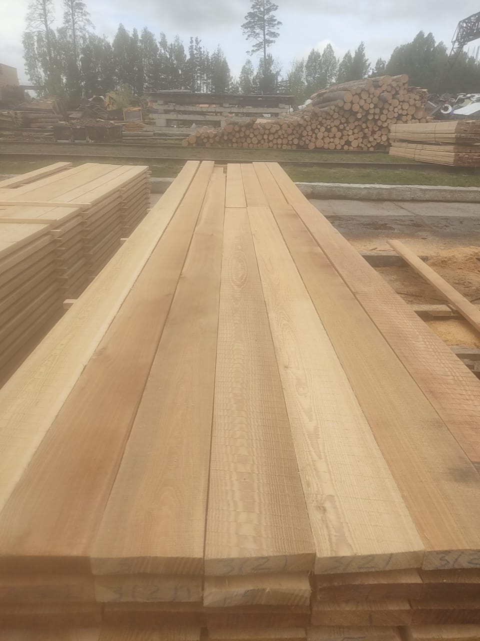 Лиственница сорт 0-1, 0-3 продажа оптом. — фото 5