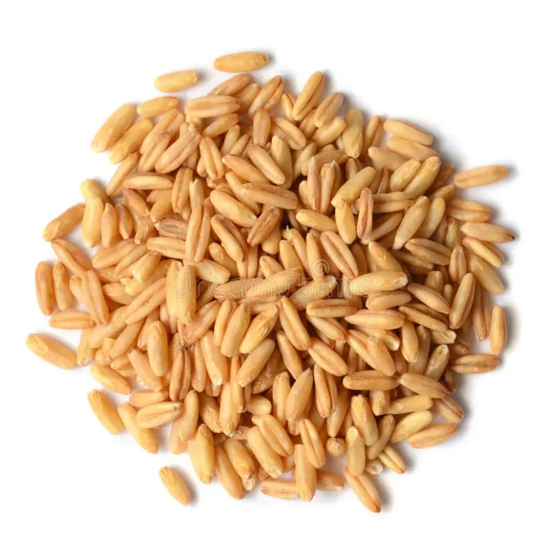 Семена овса