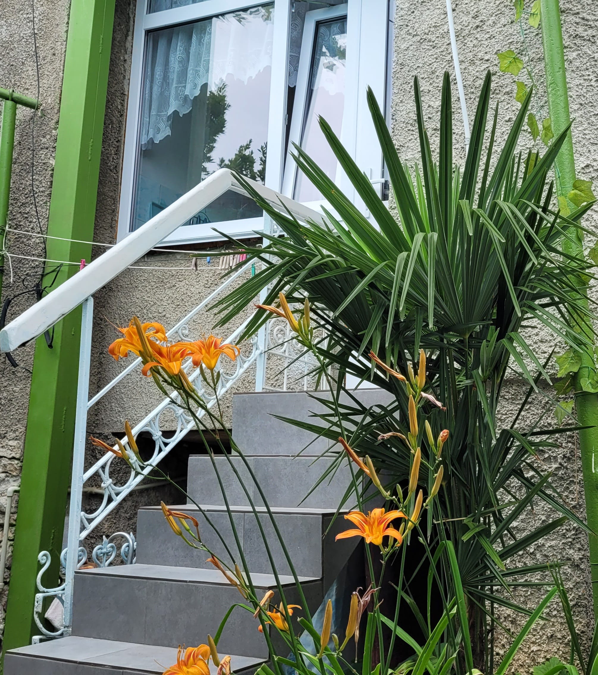 Номер эконом в частном доме возле Воронцовского дворца. — фото 13