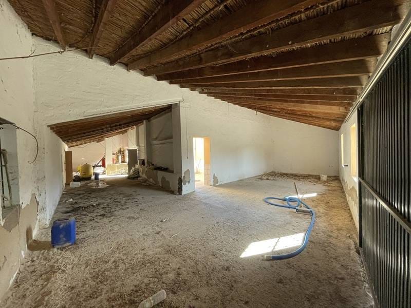 ПЛАНТАЦИЯ ЦИТРУСОВЫХ В ИСПАНИИ — фото 32