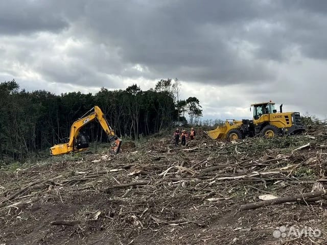 Расчистка территорий от деревьев и пней от 1 Га — фото 7