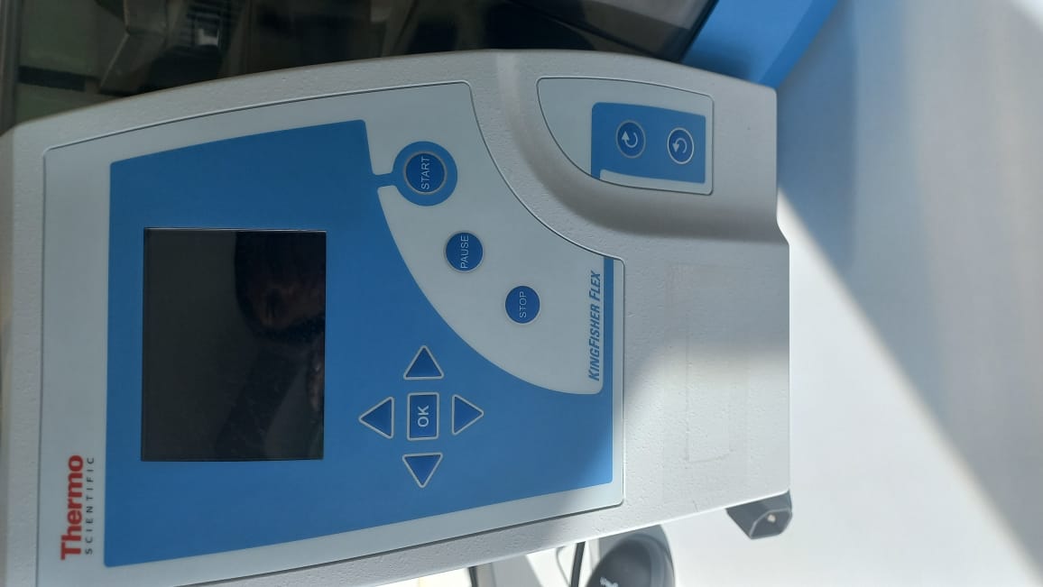 Процессор магнитных частиц для очистки нуклеиновых кислот, клеток и белков Kingfisher Flex — фото 2