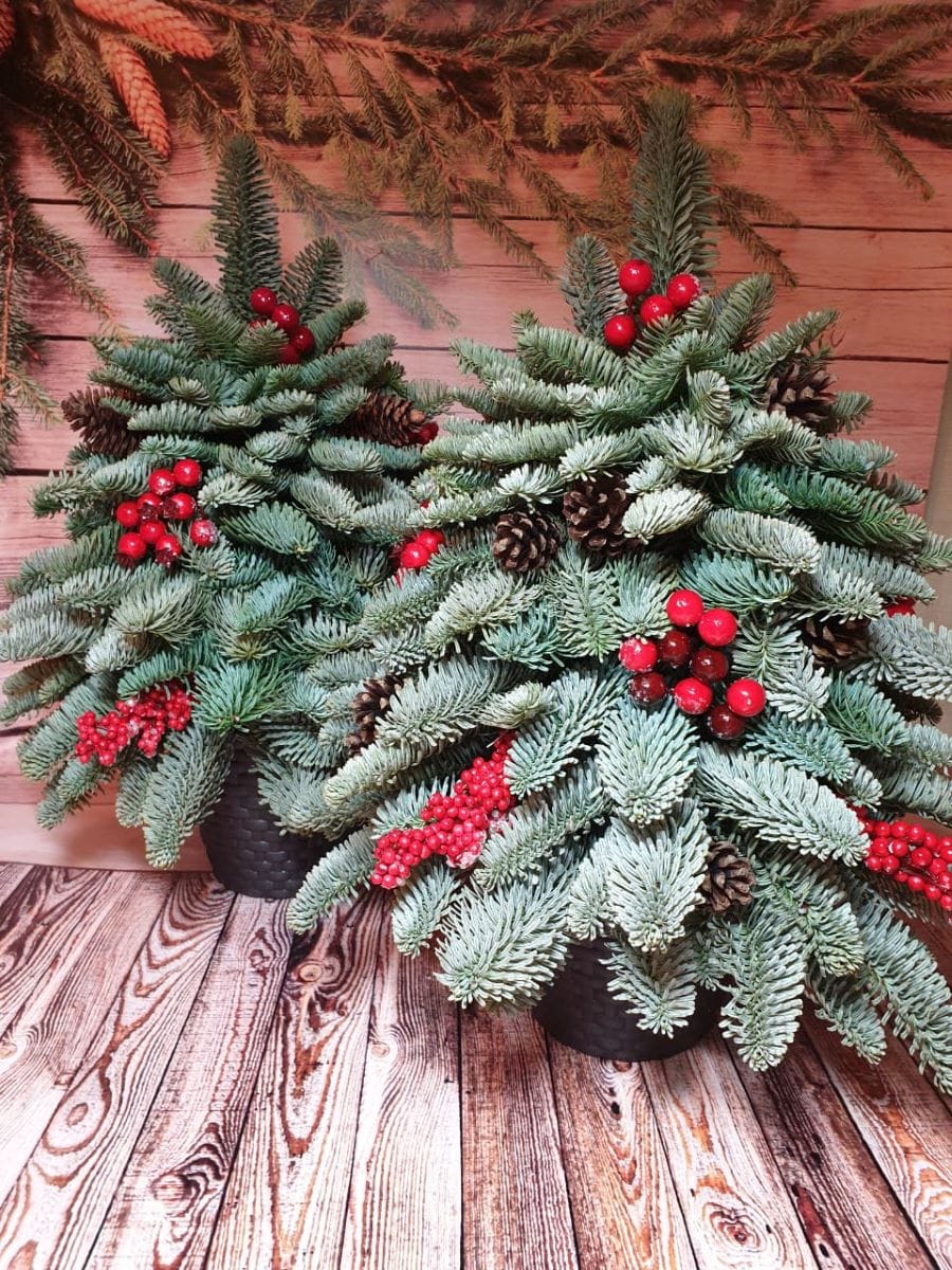 «Ёлочный Базар» - живые елки в Серпухове — фото 3