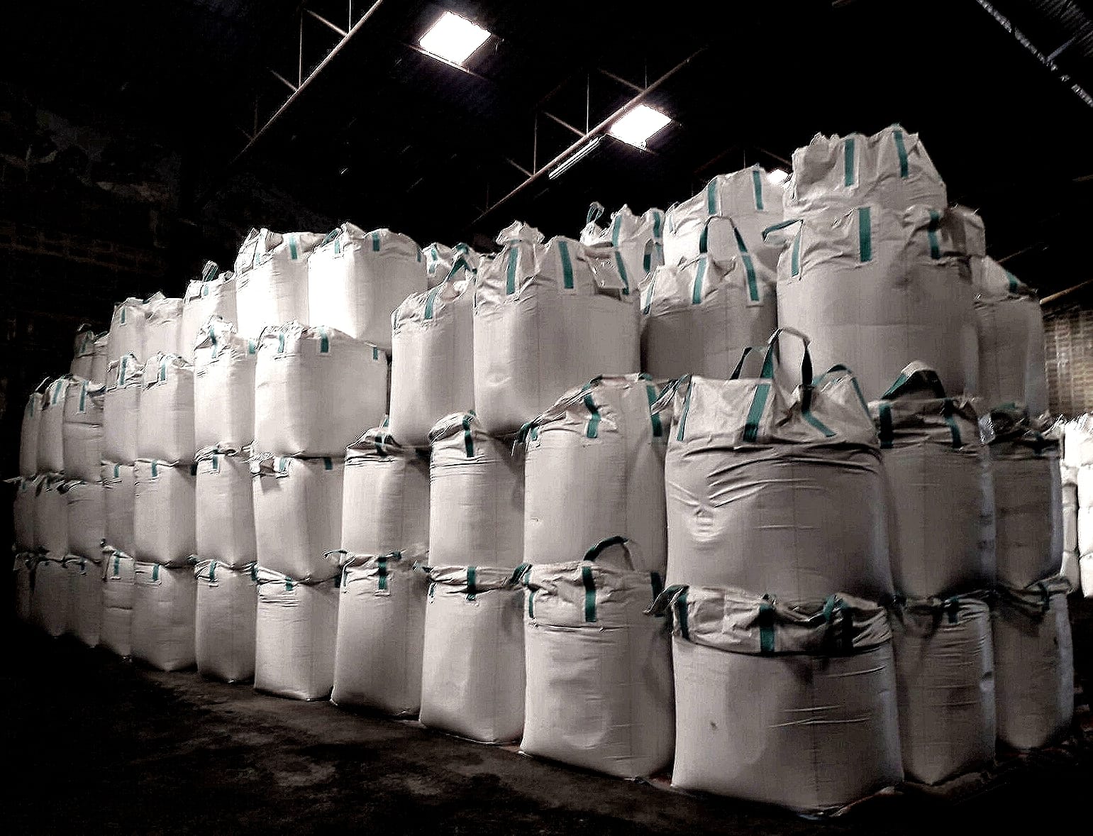 Продам Лен масличный оптом от производителя, степень очистки 97%, ГОСТ 10582-76 — фото 2