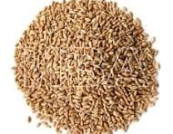 Продаю семена пшеницы