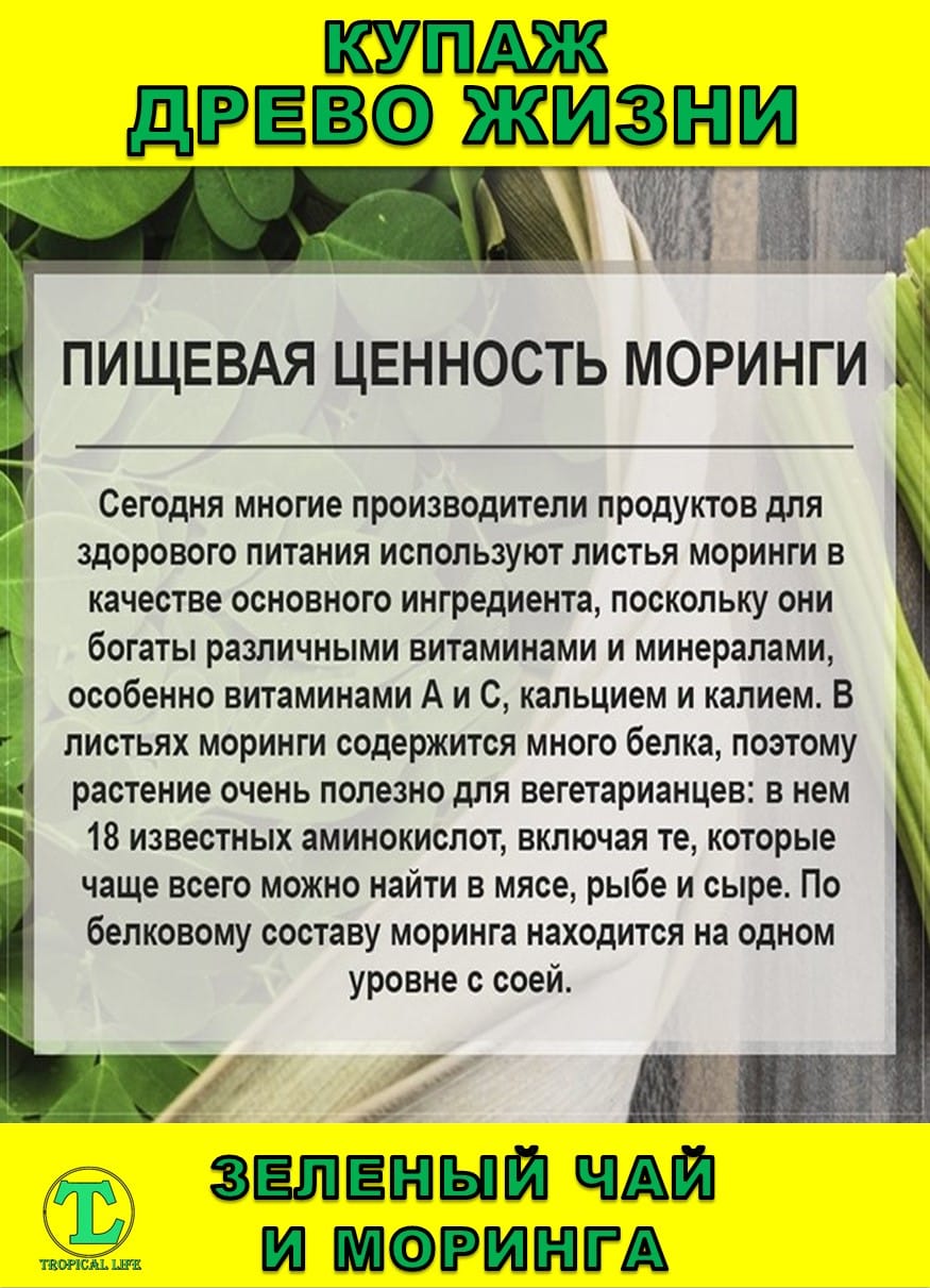 Функциональный купаж Древо Жизни. Моринга и Зеленый чай — фото 3