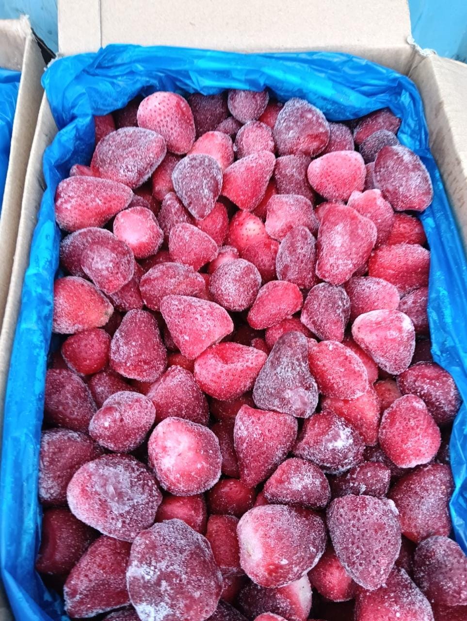 Замороженная клубника IQF