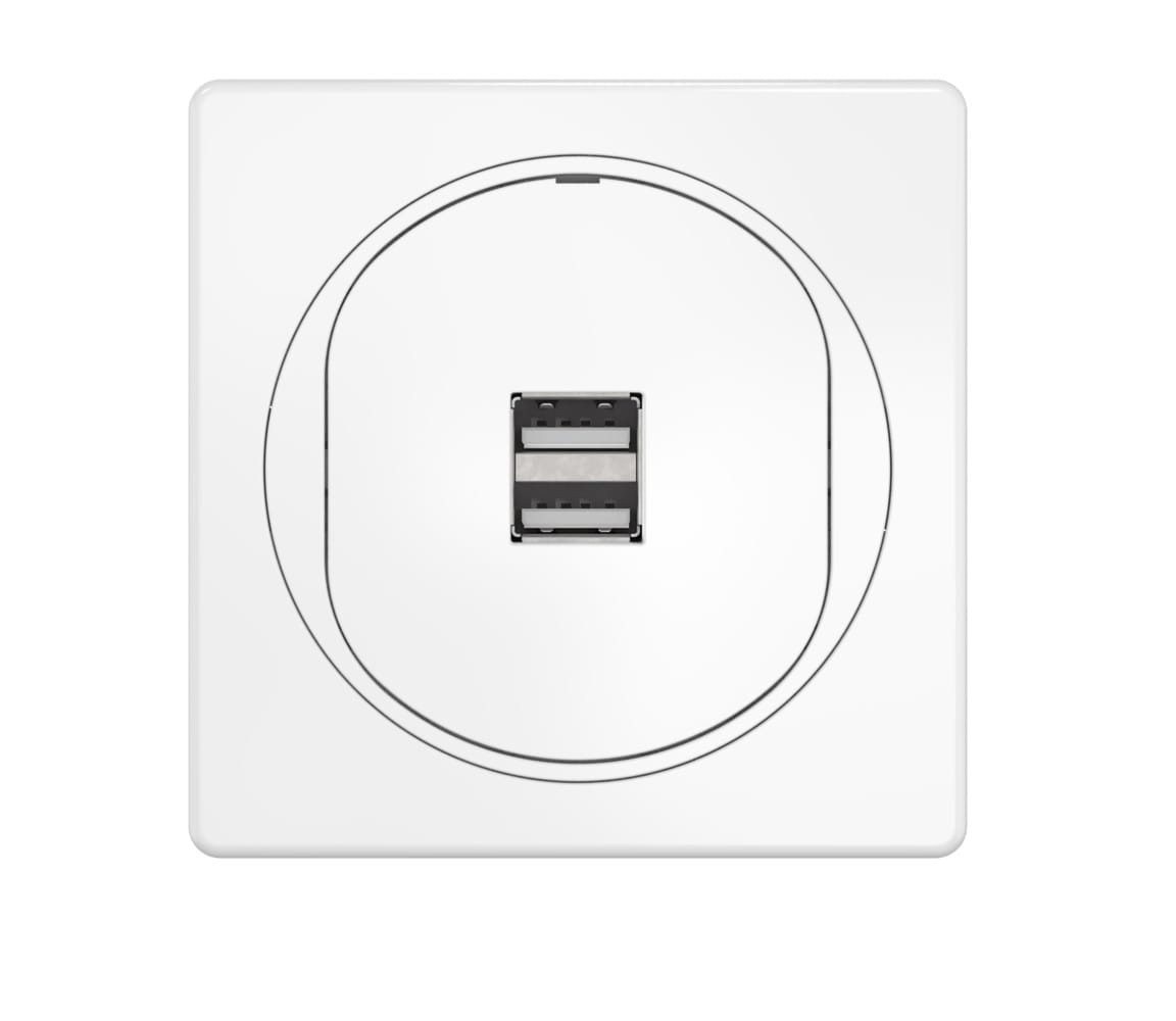 Розетка скрытой установки CADUCEUS ALING EON USB тип A для зарядки устройств, двойная, 2,1А, 5В=, 250В~