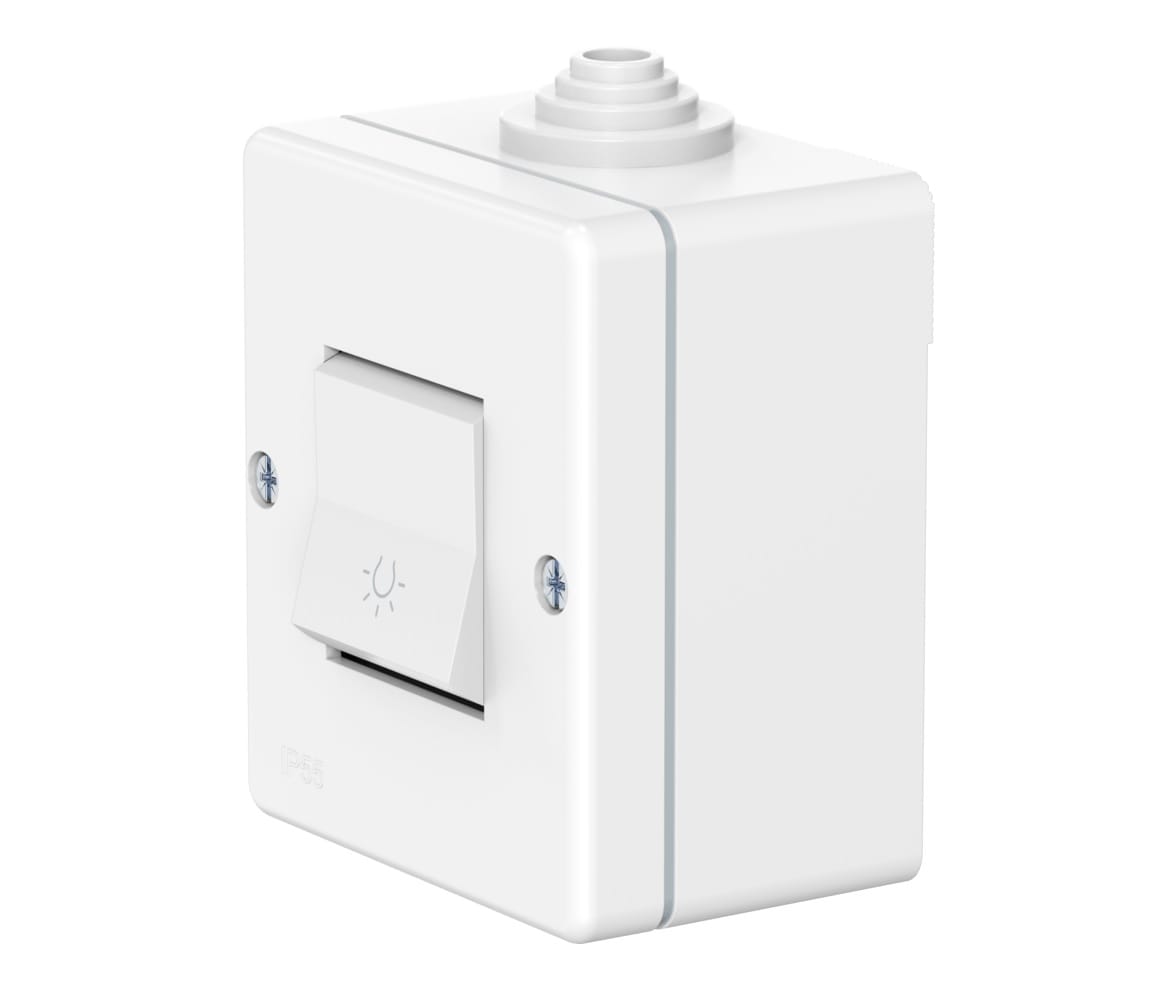 Выключатель одноклавишный CADUCEUS ALING OG для открытой проводки, с символом "Свет", 10А, 250В~