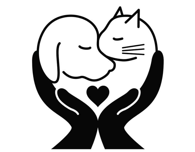 Кремация котов, кошек, собак в Туле. Вывоз тел домашних животных для последующей кремации. Тульский Зоо Крематорий.