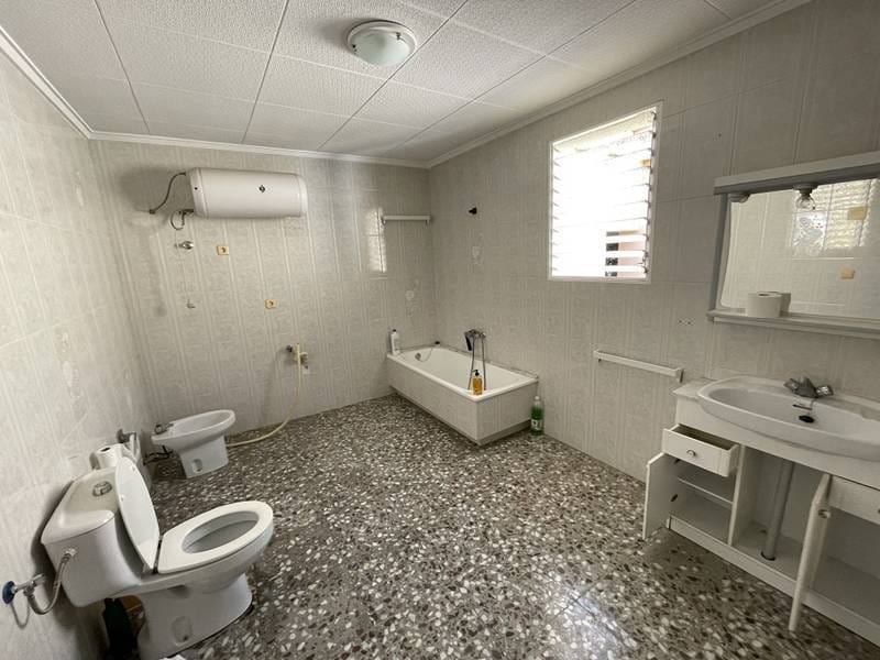 ПЛАНТАЦИЯ ЦИТРУСОВЫХ В ИСПАНИИ — фото 28