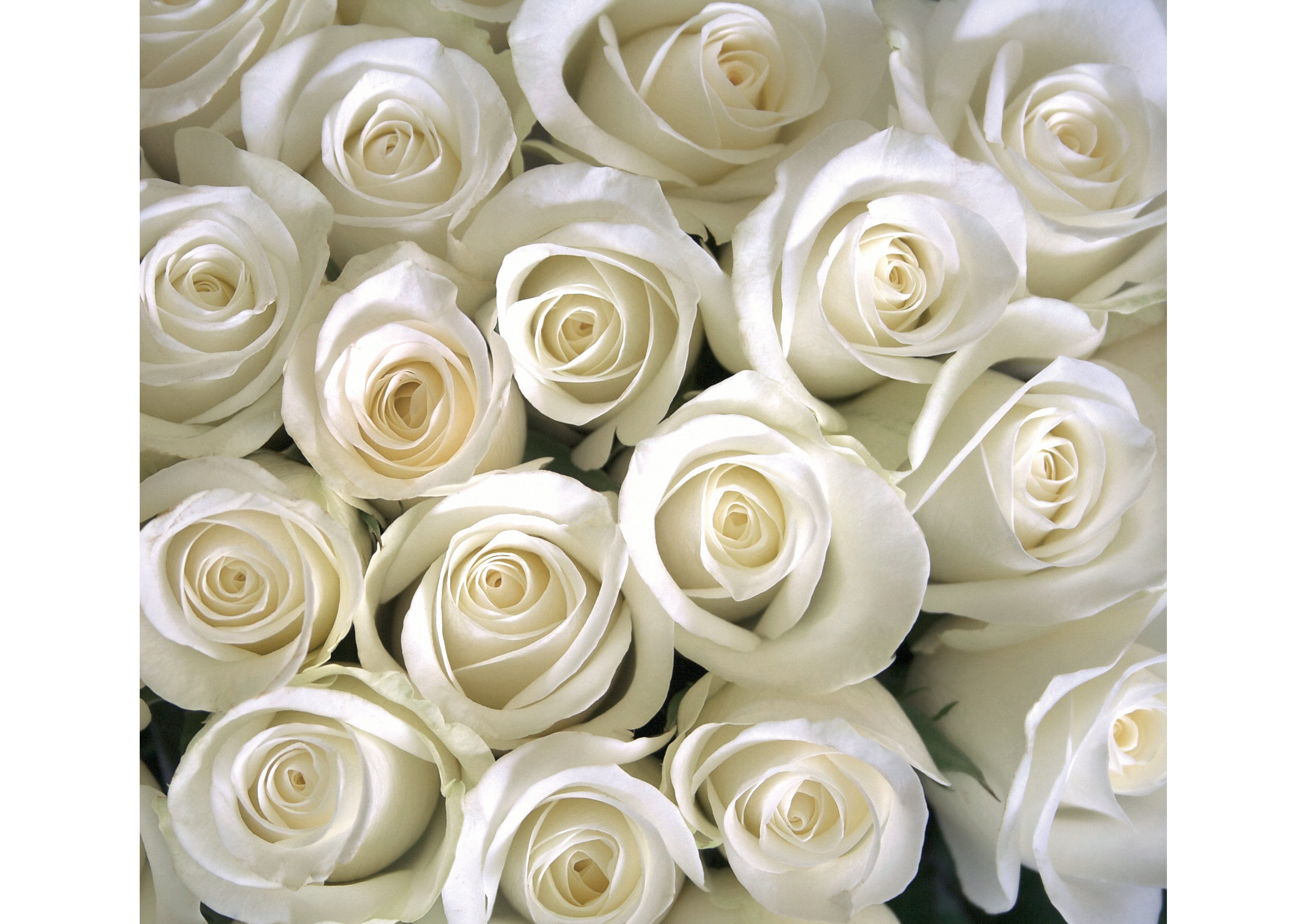 Прoдаю новые фотообои — фото 7