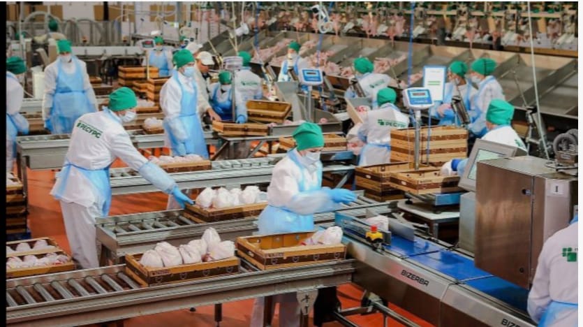 Упаковщики на птицефабрику