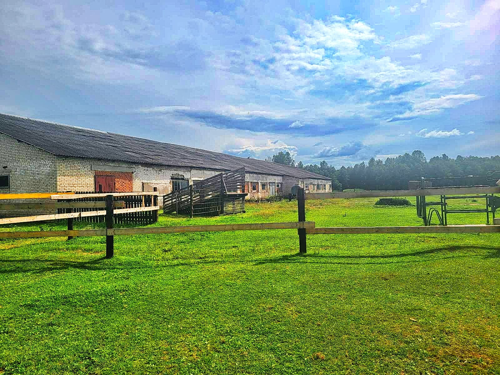 Продаётся фермерское хозяйство в Полоцком районе. — фото 4