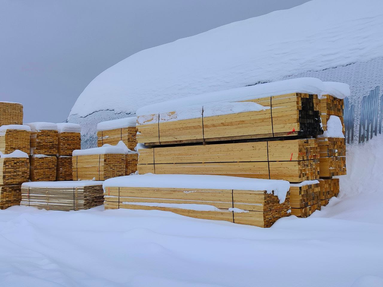 Пиломатериалы из ели производство и продажа — фото 3