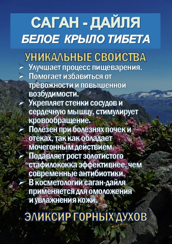 Фиточай Саган-Дайля. Белое Крыло. — фото 2