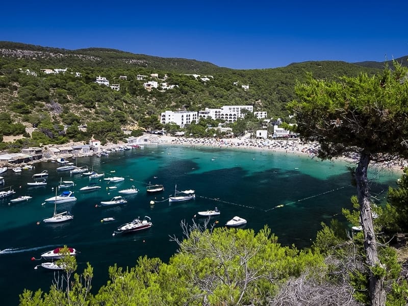 УЧАСТОК ДЛЯ ЗАСТРОЙКИ О.  ИБИЦА — фото 3