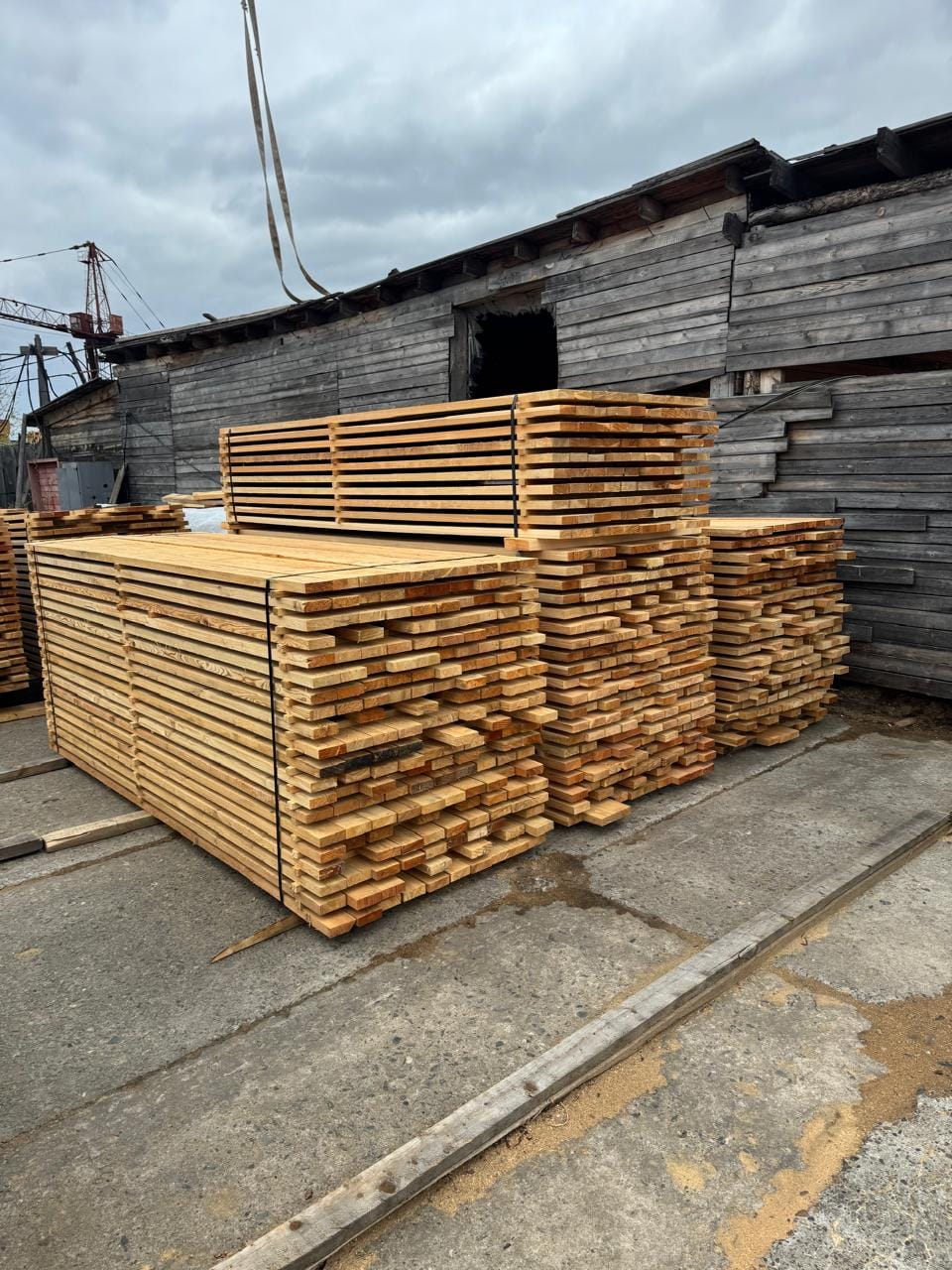 Лиственница сухая камерной сушки. — фото 9