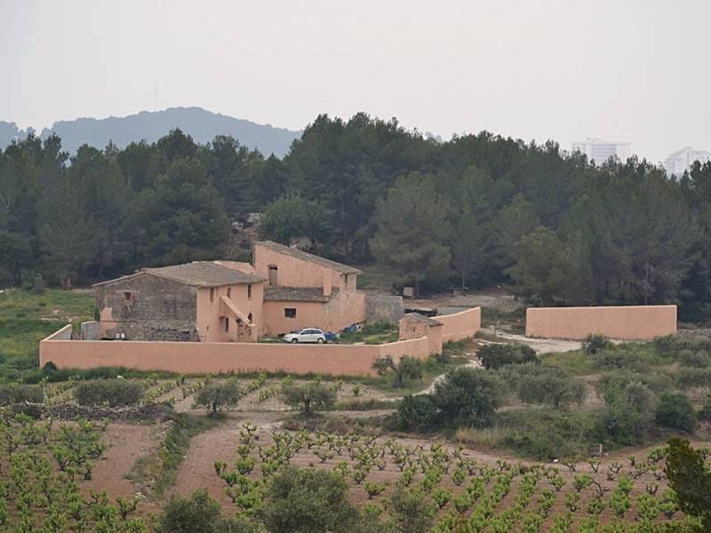 ПОМЕСТЬЕ С ВИНОГРАДНИКАМИ В ИСПАНИИ — фото 25