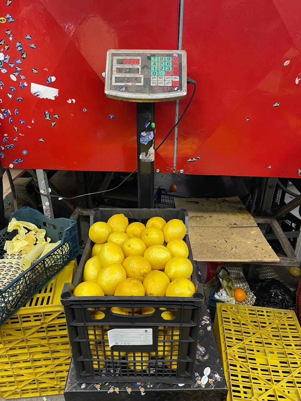 Лимон купить — фото 7