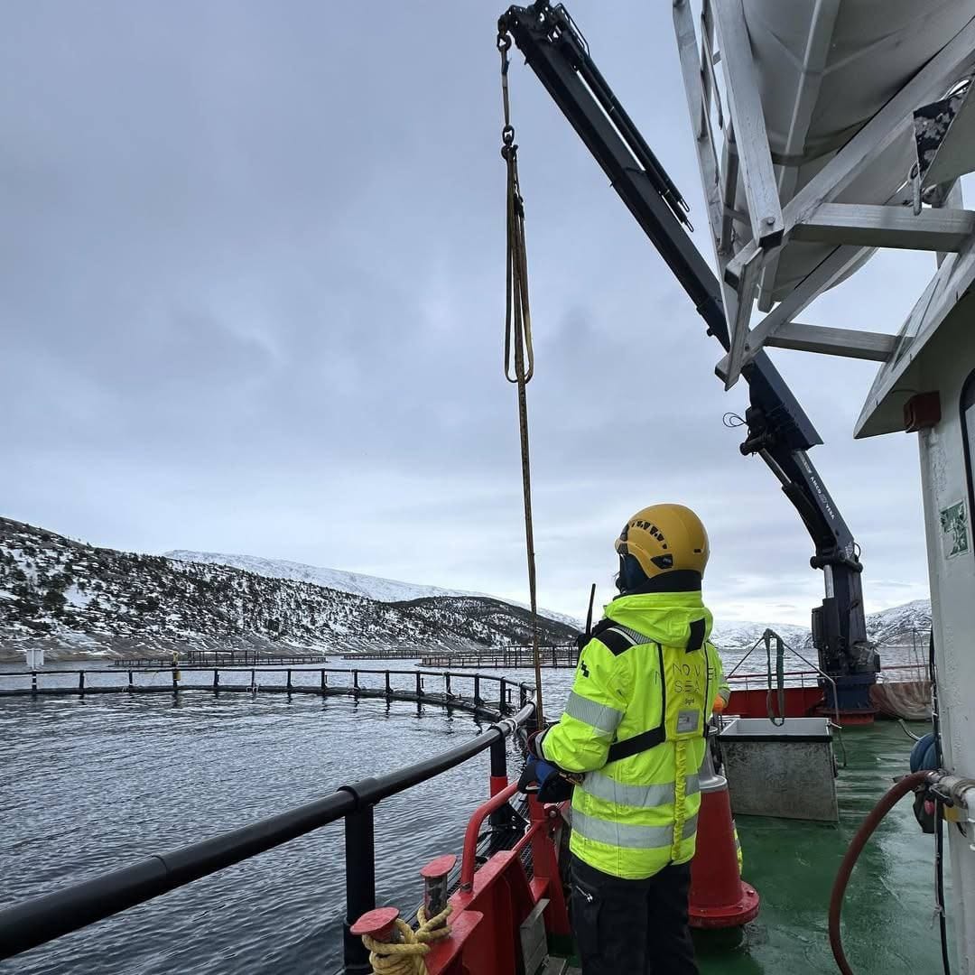 "Работа и вакансии" физическим работникам на лососевых фермах в Норвегии