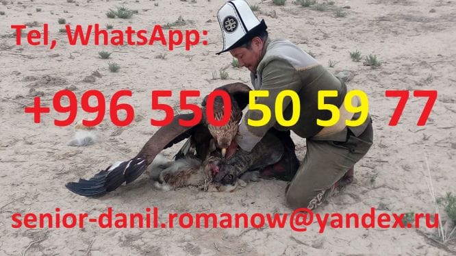 Туризм в Кыргызстане, путешествия, горы, трэки в Киргизии, гид, водитель, туры