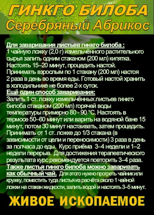 Функциональны чай. Листья Гинкго двулопастного Ginkgo Bilobae folia — фото 4