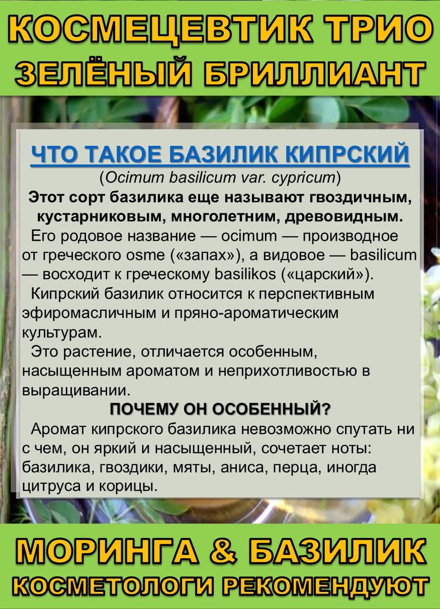 Космецевтик «Трио Зелёный бриллиант» для лица, тела и волос. Порошок листьев Моринги, Базилика и Инулин — фото 3