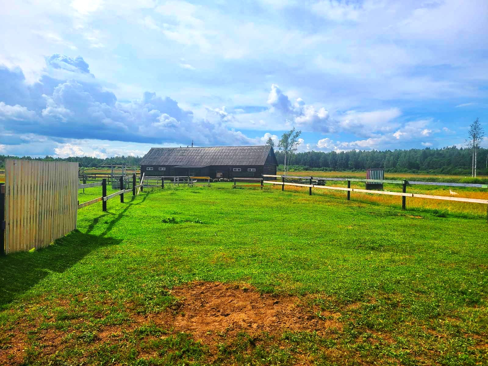 Продаётся фермерское хозяйство в Полоцком районе. — фото 8