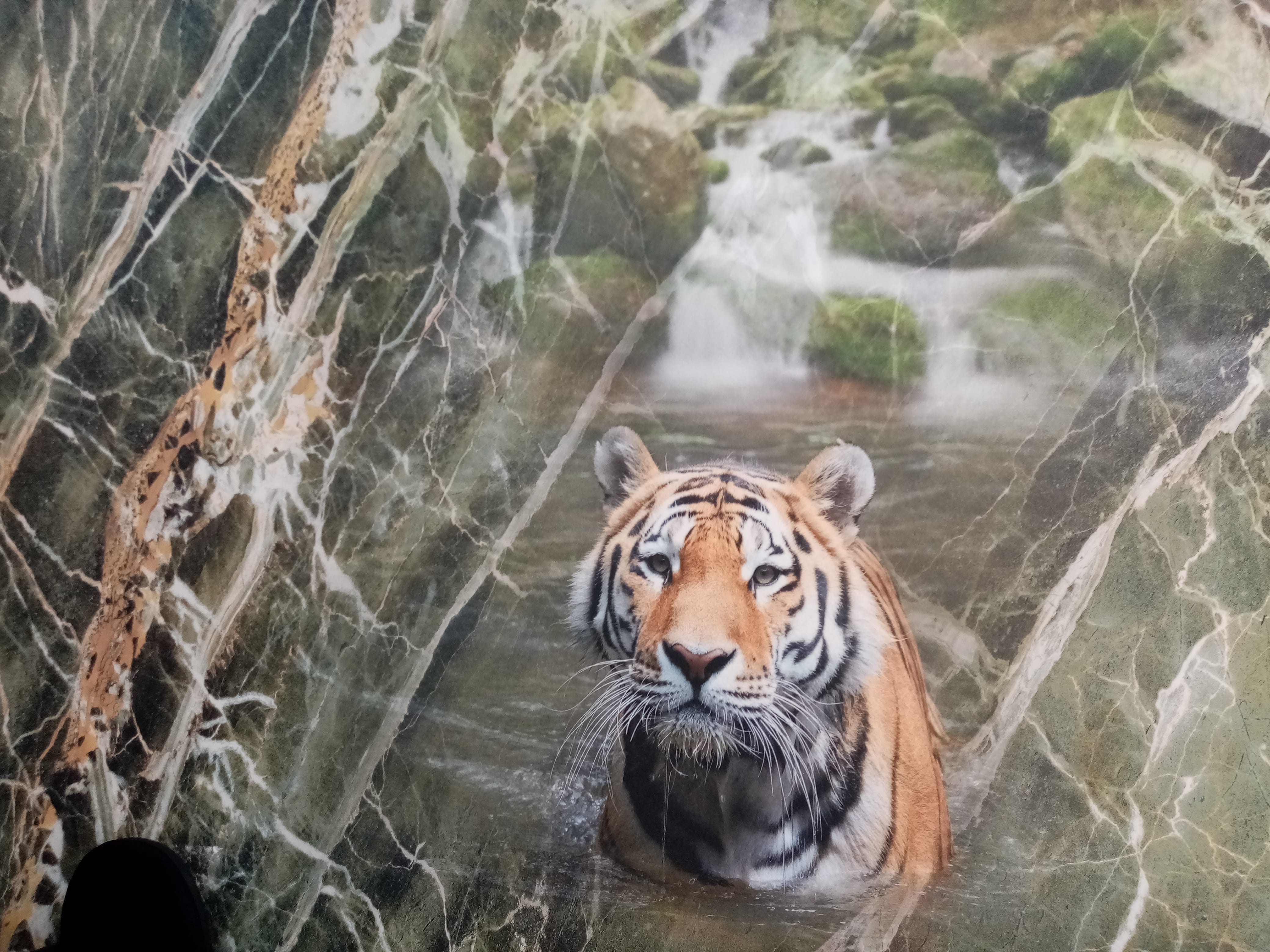 Гибкий камень, мрамор, доска. Териопанели — фото 2