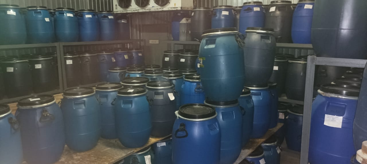 Продам пихтовое масло